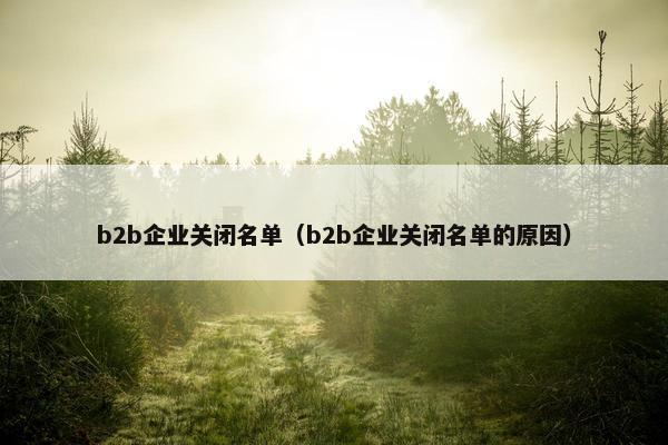 b2b企业关闭名单（b2b企业关闭名单的原因）