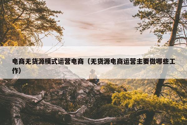 电商无货源模式运营电商（无货源电商运营主要做哪些工作）