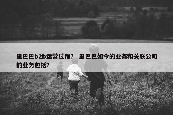 里巴巴b2b运营过程？ 里巴巴如今的业务和关联公司的业务包括？