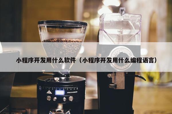 小程序开发用什么软件（小程序开发用什么编程语言）