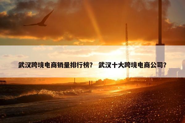 武汉跨境电商销量排行榜？ 武汉十大跨境电商公司？