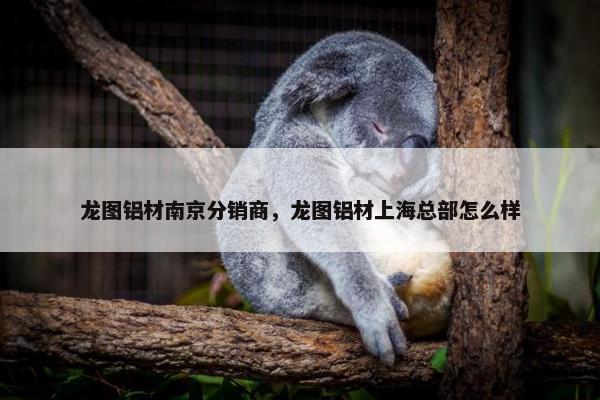 龙图铝材南京分销商，龙图铝材上海总部怎么样