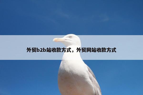 外贸b2b站收款方式，外贸网站收款方式