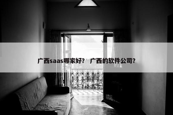 广西saas哪家好？ 广西的软件公司？