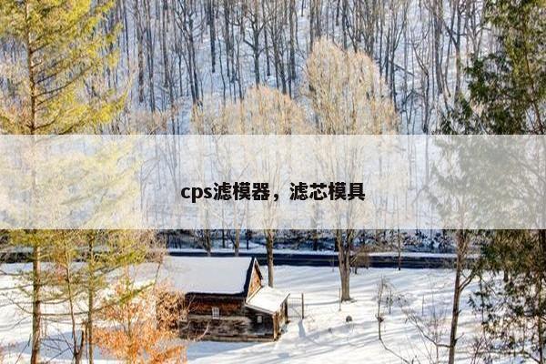 cps滤模器，滤芯模具