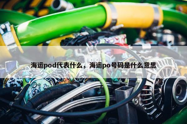 海运pod代表什么，海运po号码是什么意思