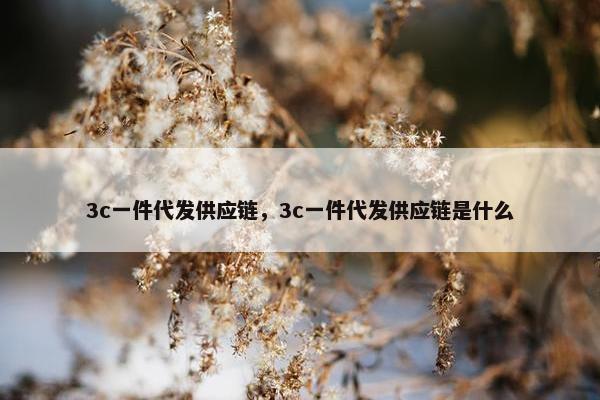 3c一件代发供应链，3c一件代发供应链是什么
