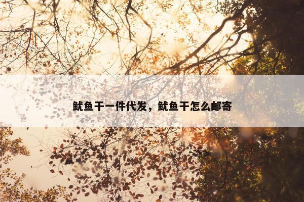 鱿鱼干一件代发，鱿鱼干怎么邮寄