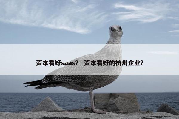 资本看好saas？ 资本看好的杭州企业？