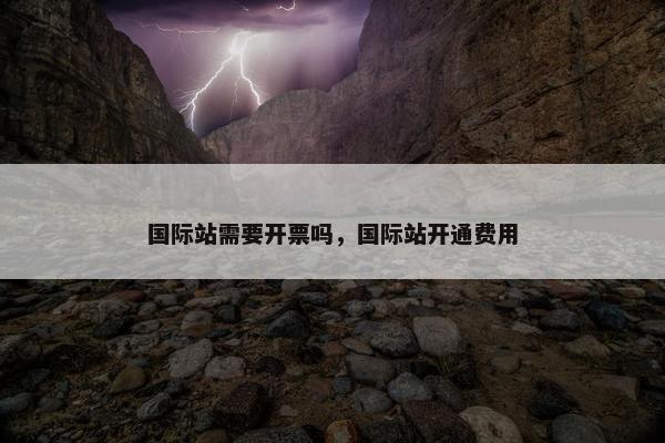 国际站需要开票吗，国际站开通费用