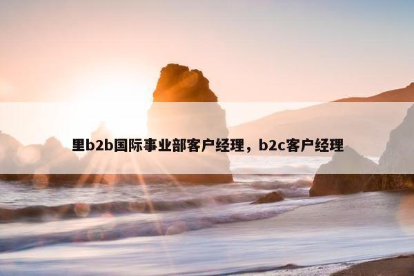 里b2b国际事业部客户经理，b2c客户经理