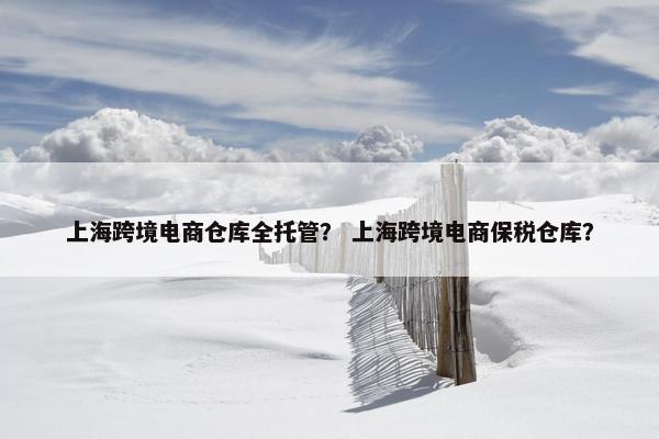 上海跨境电商仓库全托管？ 上海跨境电商保税仓库？
