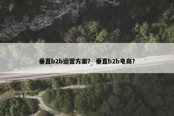 垂直b2b运营方案？ 垂直b2b电商？