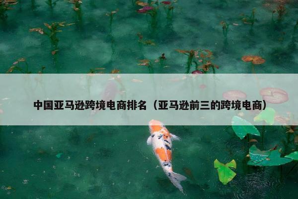 中国亚马逊跨境电商排名（亚马逊前三的跨境电商）