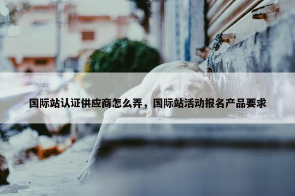 国际站认证供应商怎么弄，国际站活动报名产品要求