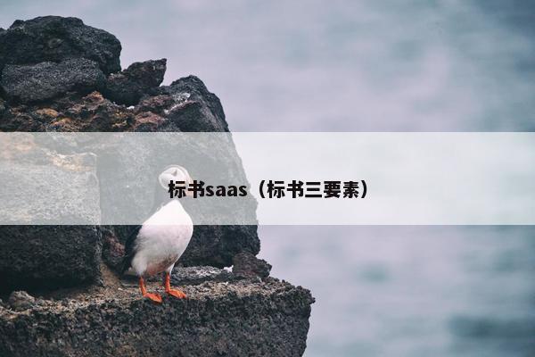标书saas（标书三要素）
