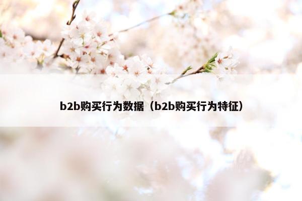 b2b购买行为数据（b2b购买行为特征）