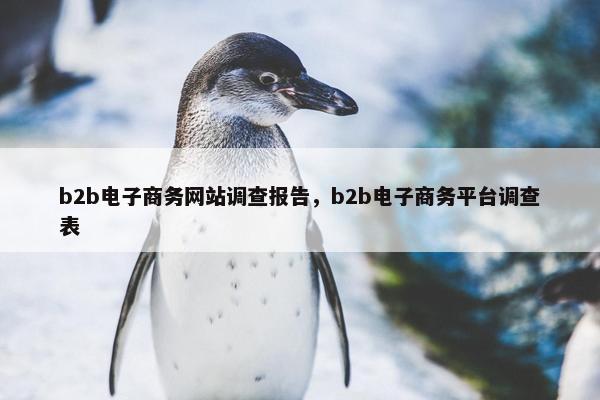 b2b电子商务网站调查报告，b2b电子商务平台调查表