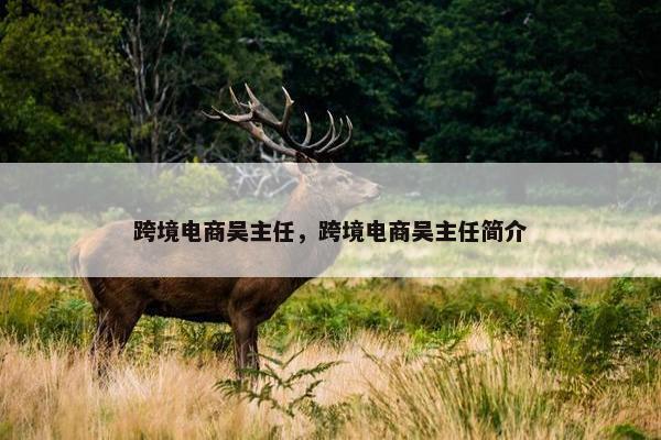 跨境电商吴主任，跨境电商吴主任简介