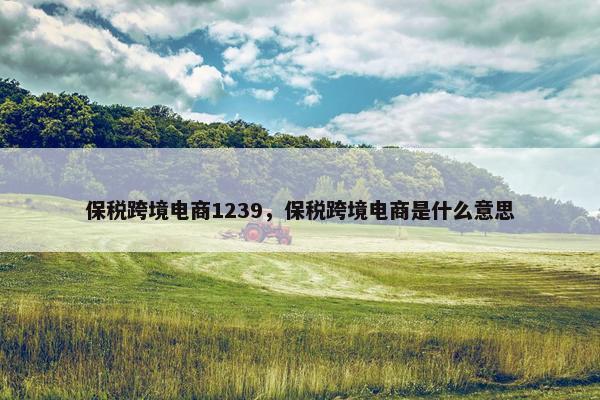 保税跨境电商1239，保税跨境电商是什么意思