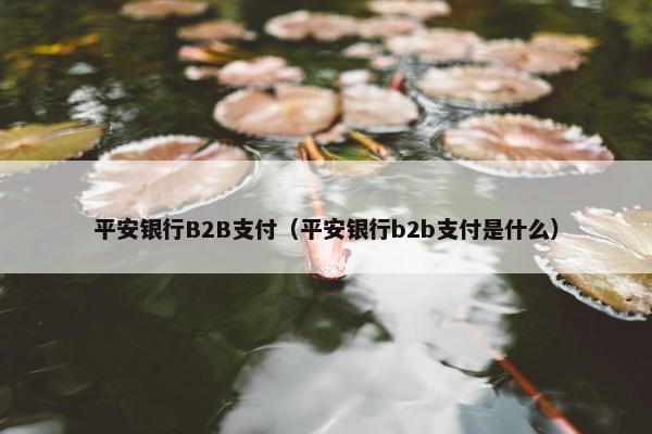 平安银行B2B支付（平安银行b2b支付是什么）