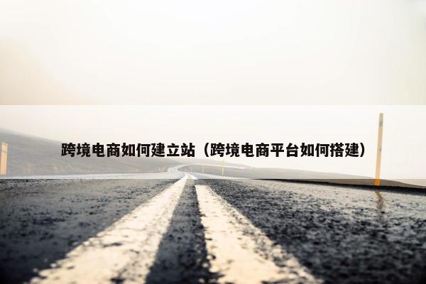 跨境电商如何建立站（跨境电商平台如何搭建）