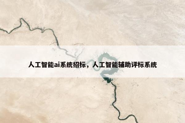 人工智能ai系统招标，人工智能辅助评标系统