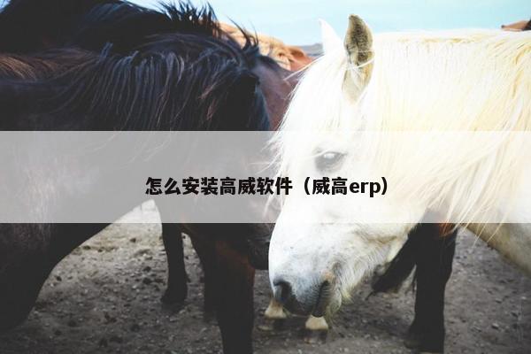 怎么安装高威软件（威高erp）