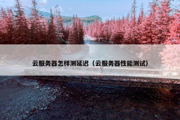 云服务器怎样测延迟（云服务器性能测试）