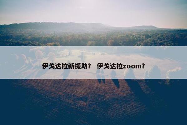 伊戈达拉新援助？ 伊戈达拉zoom？