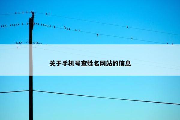 关于手机号查姓名网站的信息