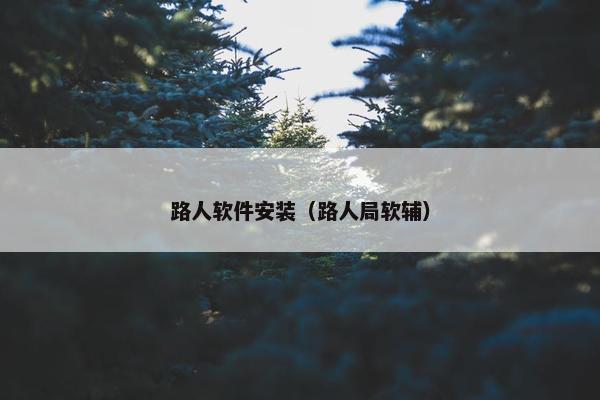 路人软件安装（路人局软辅）
