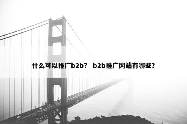 什么可以推广b2b？ b2b推广网站有哪些？