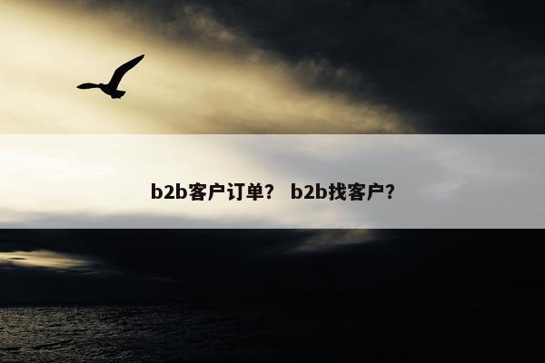 b2b客户订单？ b2b找客户？
