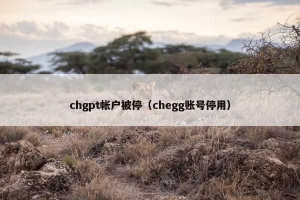 chgpt帐户被停（chegg账号停用）