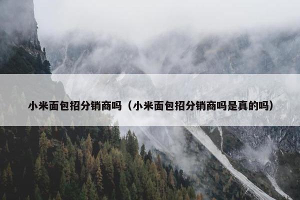 小米面包招分销商吗（小米面包招分销商吗是真的吗）