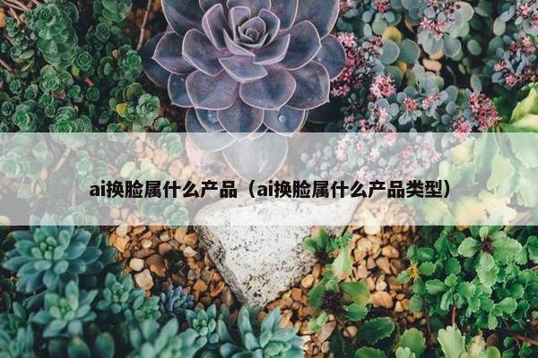ai换脸属什么产品（ai换脸属什么产品类型）