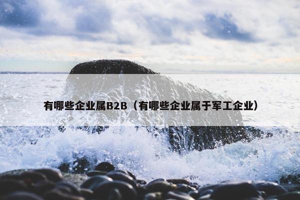 有哪些企业属B2B（有哪些企业属于军工企业）