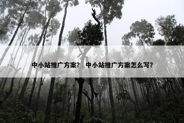 中小站推广方案？ 中小站推广方案怎么写？