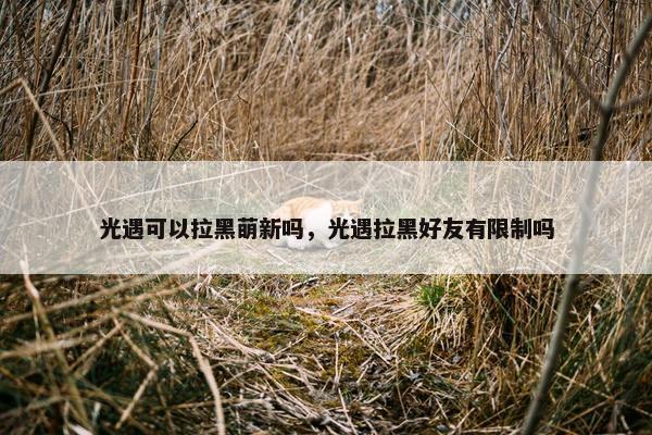 光遇可以拉黑萌新吗，光遇拉黑好友有限制吗