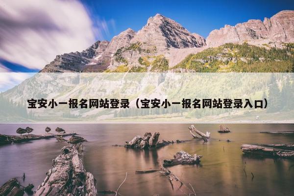 宝安小一报名网站登录（宝安小一报名网站登录入口）