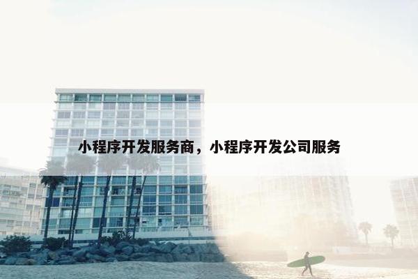 小程序开发服务商，小程序开发公司服务