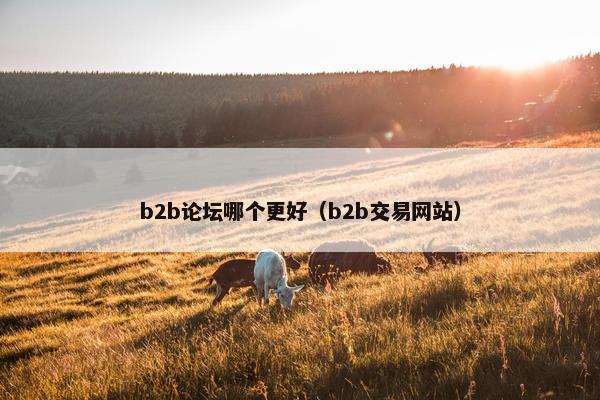 b2b论坛哪个更好（b2b交易网站）