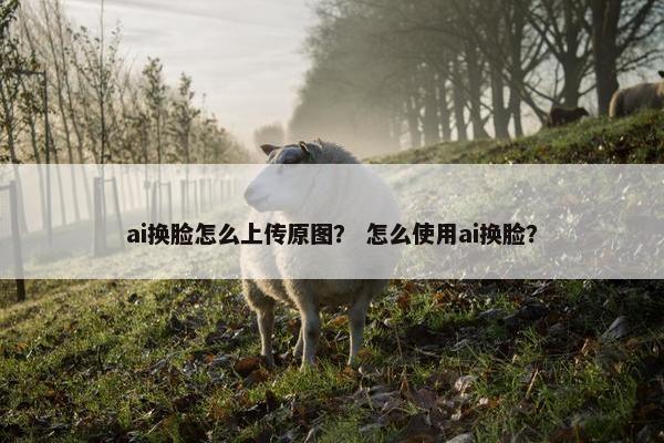 ai换脸怎么上传原图？ 怎么使用ai换脸？