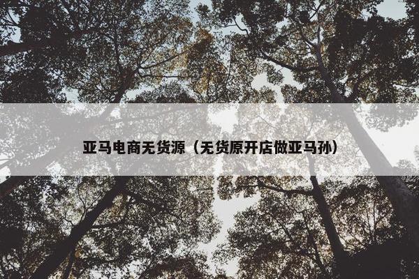 亚马电商无货源（无货原开店做亚马孙）