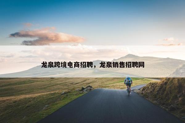 龙泉跨境电商招聘，龙泉销售招聘网