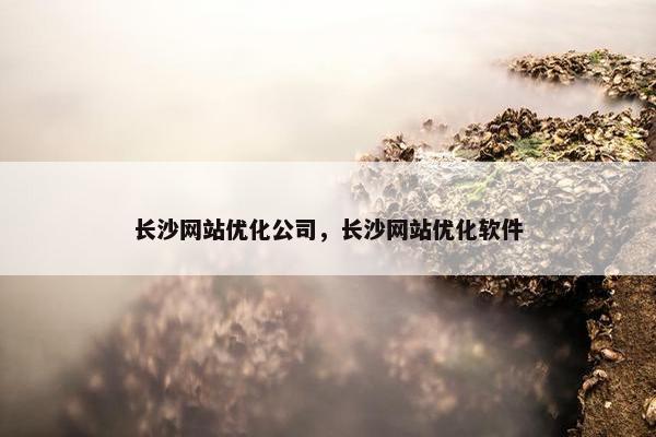 长沙网站优化公司，长沙网站优化软件