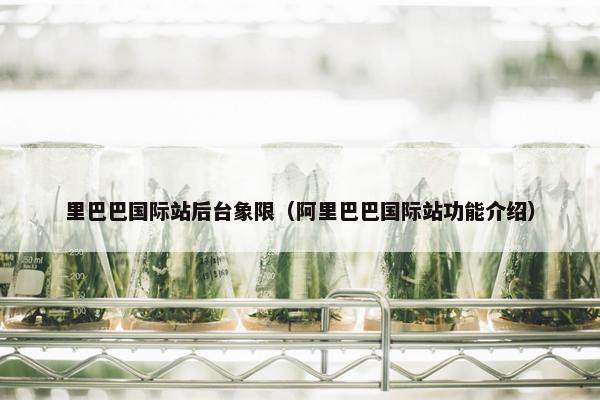 里巴巴国际站后台象限（阿里巴巴国际站功能介绍）