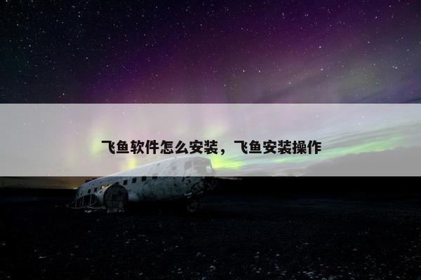 飞鱼软件怎么安装，飞鱼安装操作