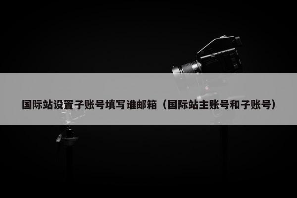 国际站设置子账号填写谁邮箱（国际站主账号和子账号）